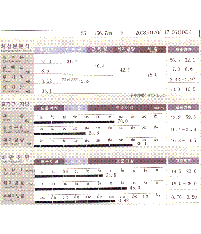 전후사진