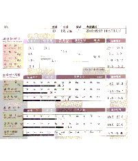 전후사진