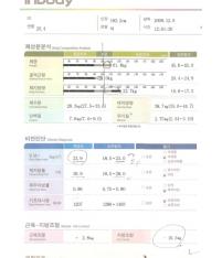 전후사진