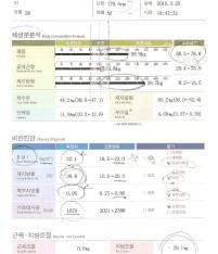 전후사진