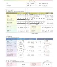 전후사진