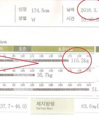 전후사진