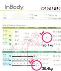 전후사진
