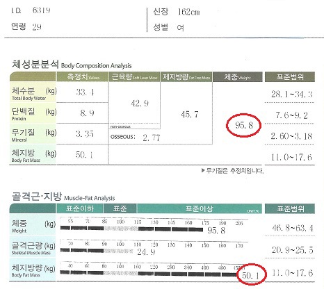전후사진