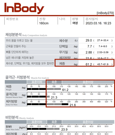 전후사진