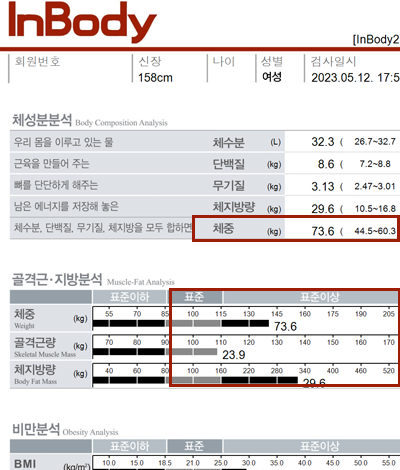 전후사진