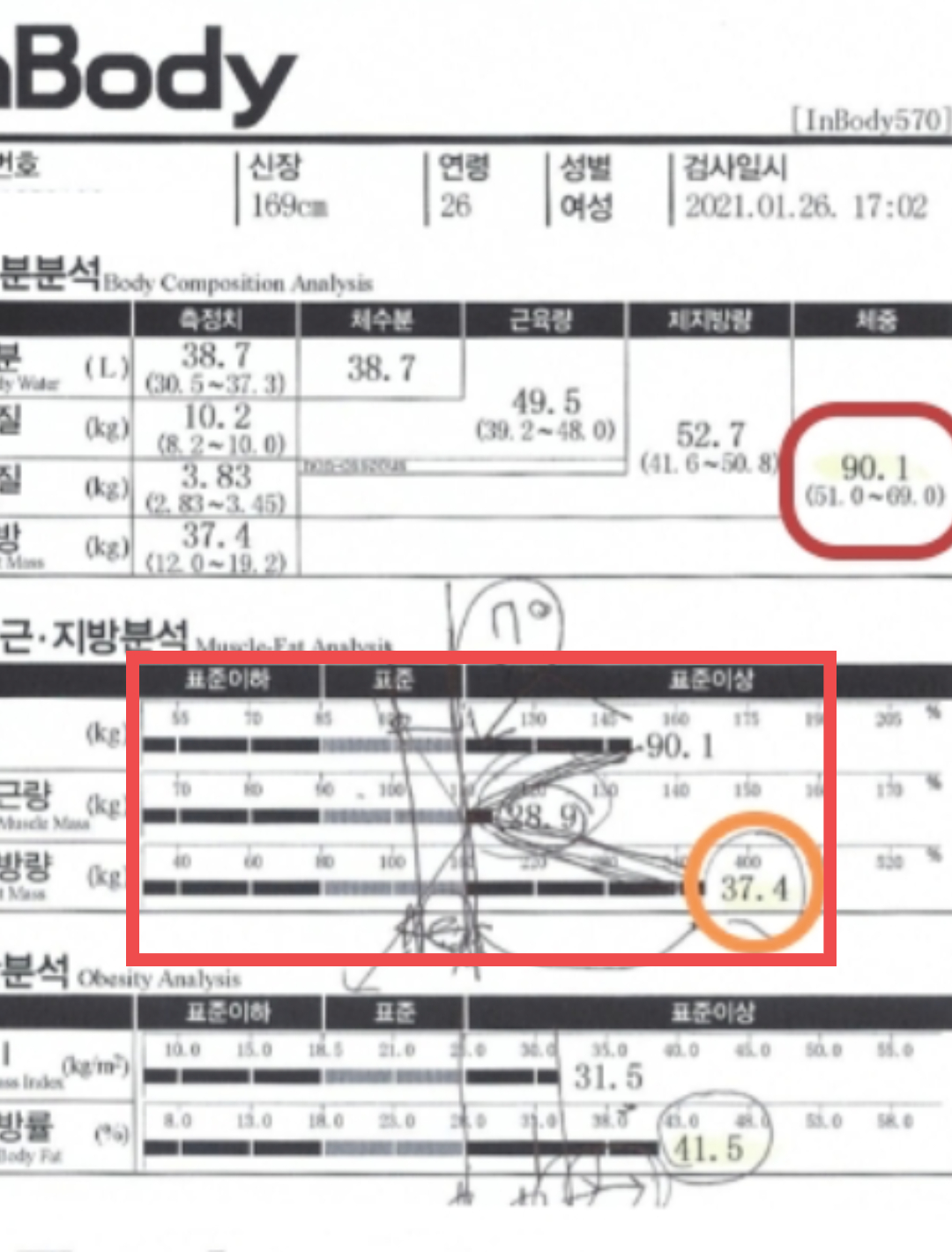 전후사진