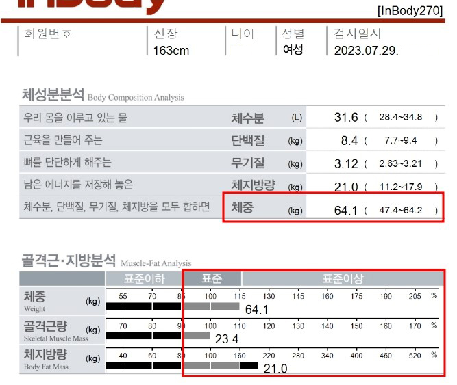 전후사진