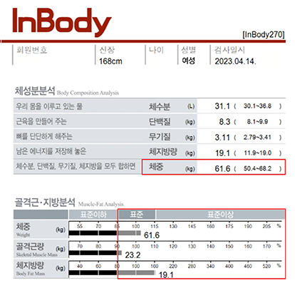 전후사진
