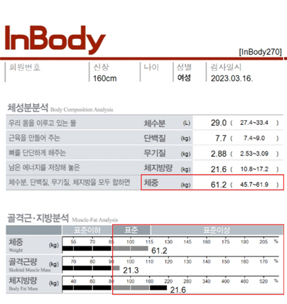 전후사진