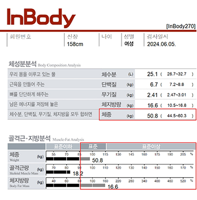 전후사진