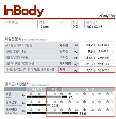 전후사진