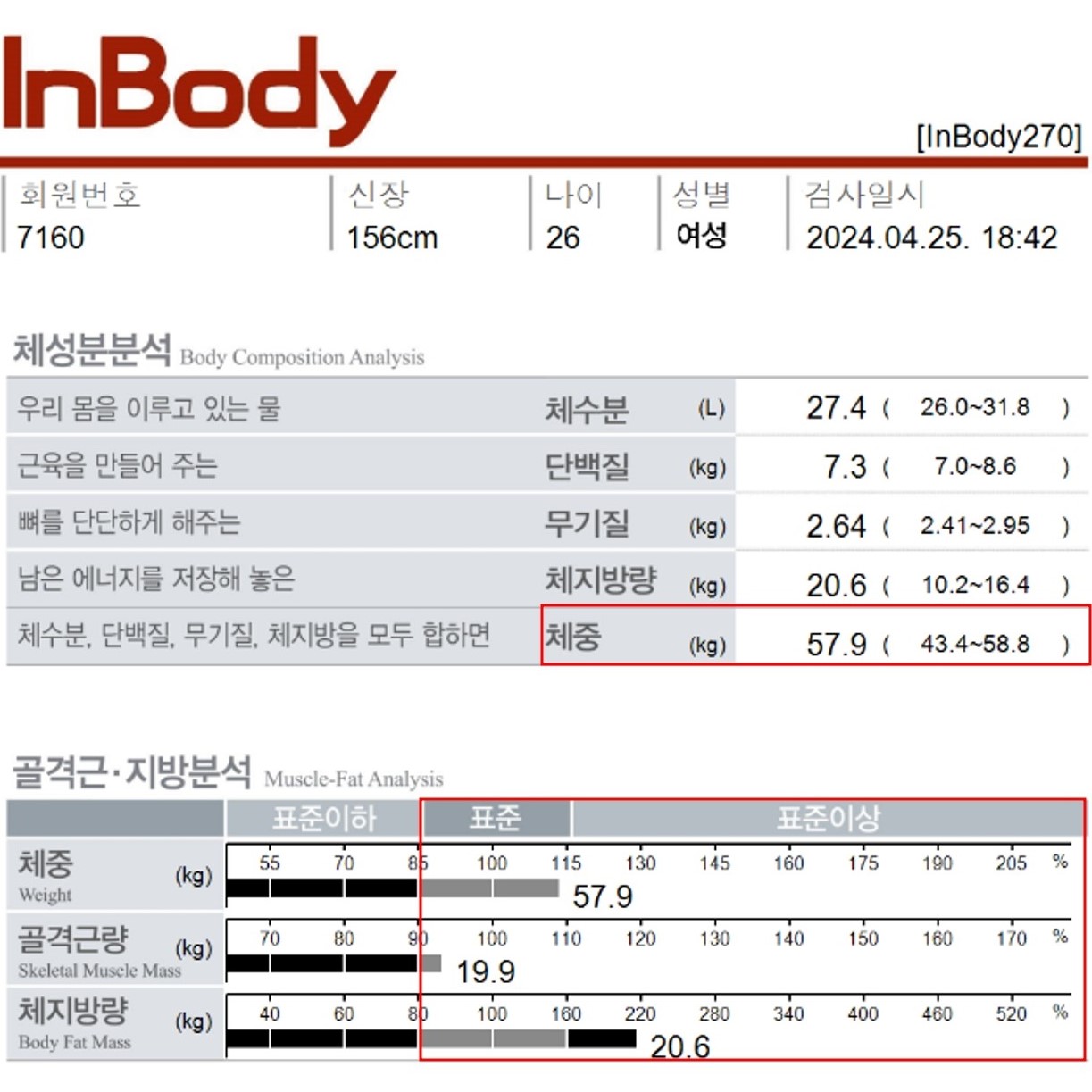 전후사진