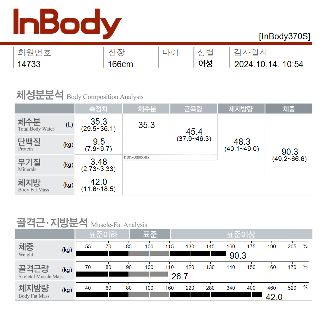 전후사진