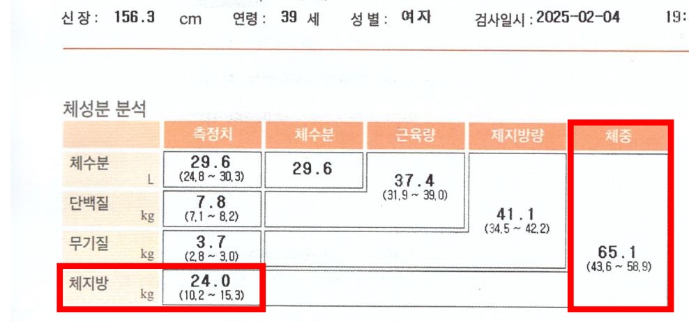 전후사진