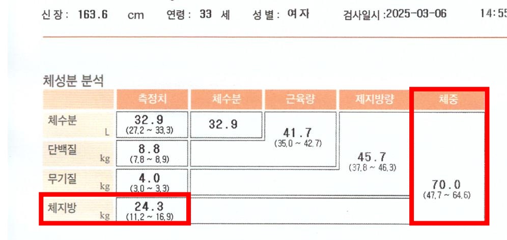 전후사진