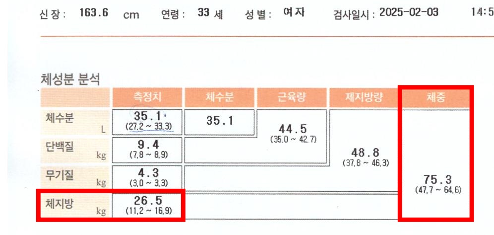 전후사진