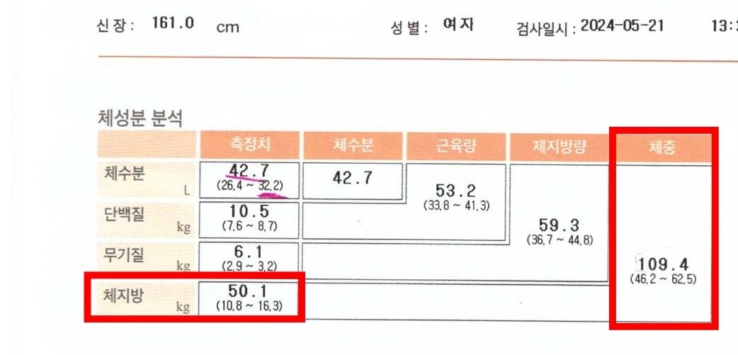 전후사진