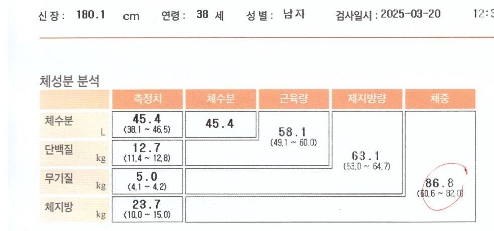 전후사진