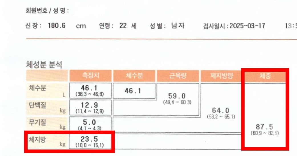 전후사진