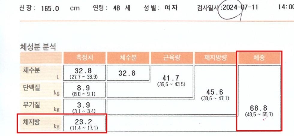 치료 전
