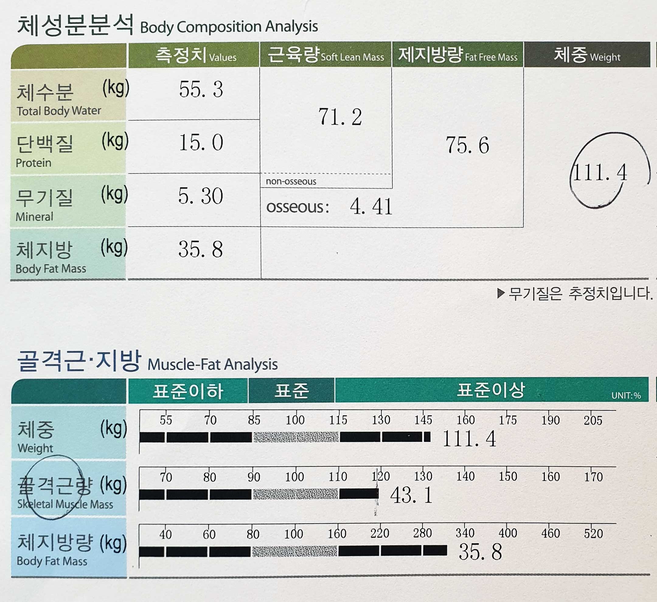 치료 전