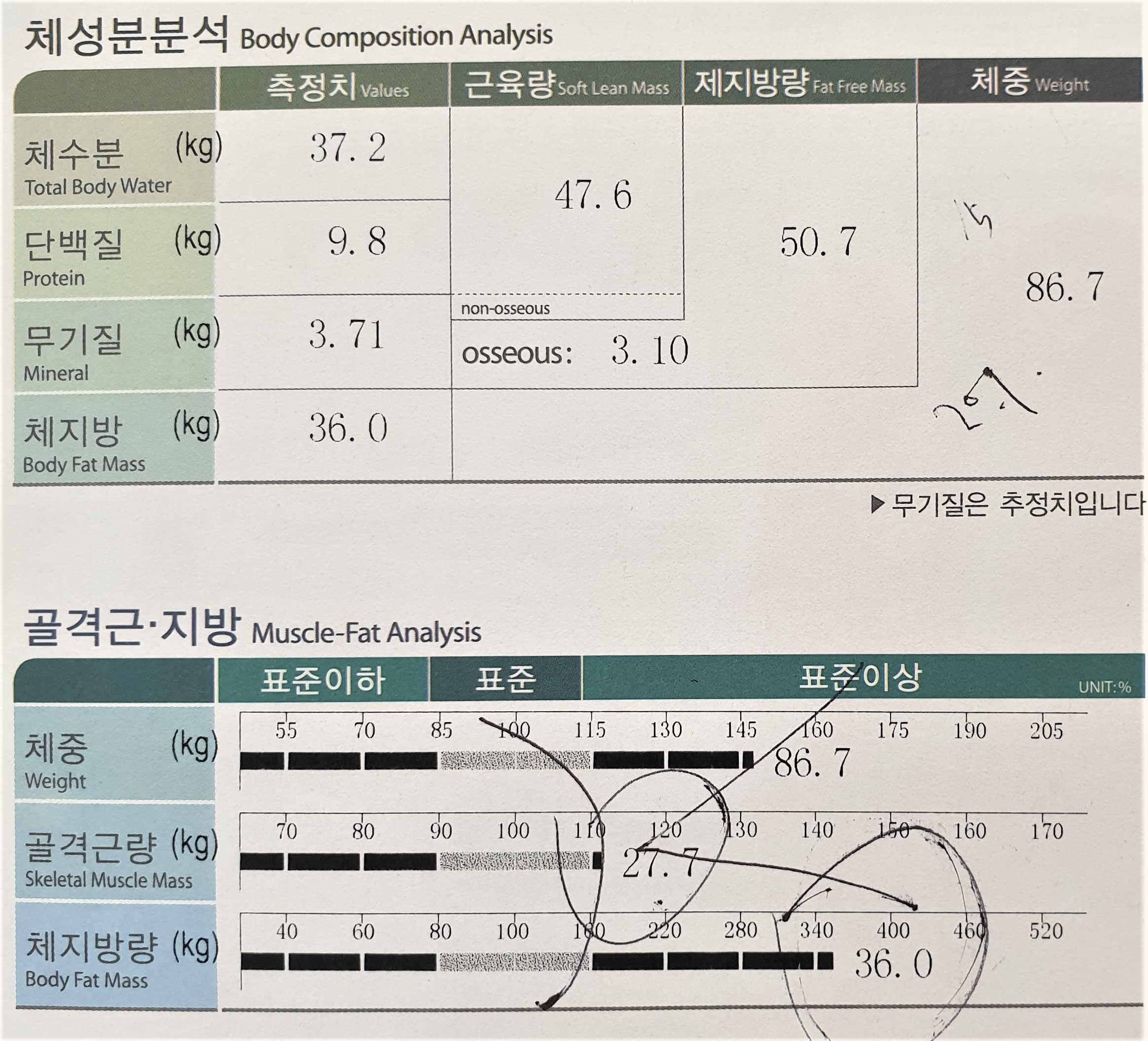 치료 전