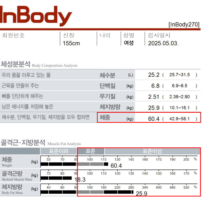 치료 전