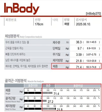 치료 전