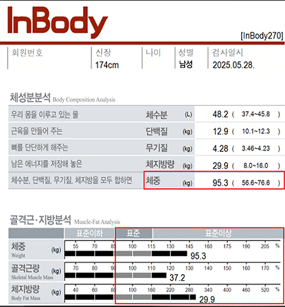 전후사진