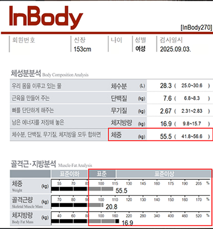 전후사진