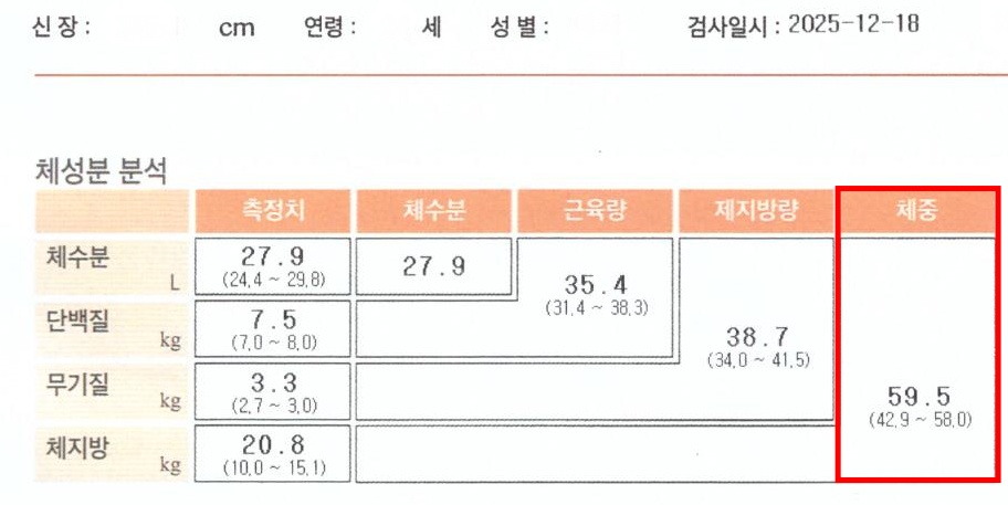 전후사진