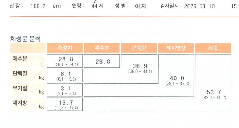 전후사진