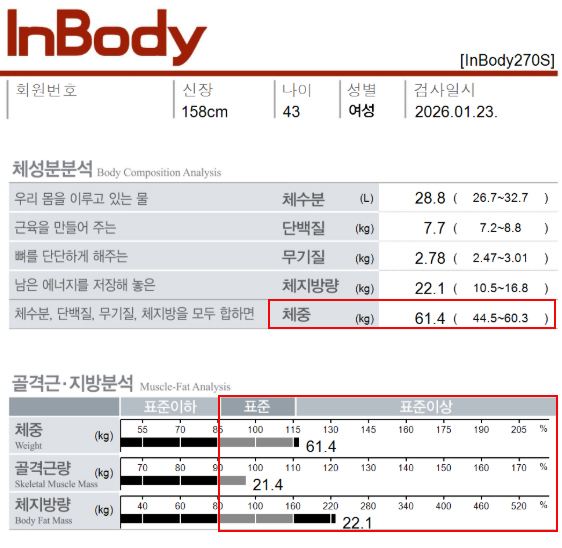 치료 전