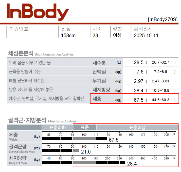 치료 전