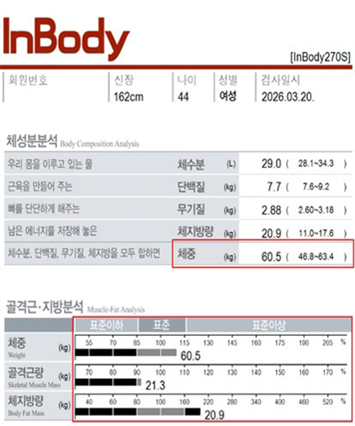 치료 전